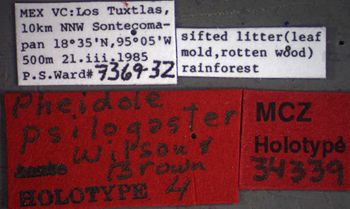 Media type: image;   Entomology 34339 Aspect: labels